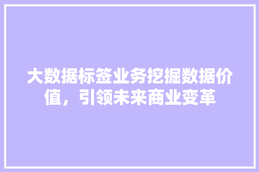 大数据标签业务挖掘数据价值，引领未来商业变革