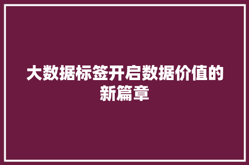 大数据标签开启数据价值的新篇章
