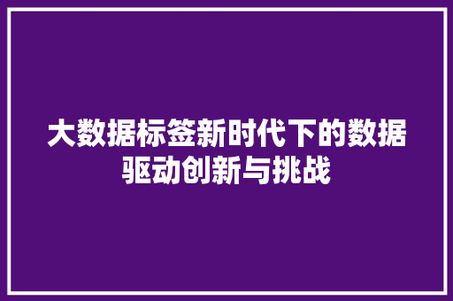 大数据标签新时代下的数据驱动创新与挑战 编程语言