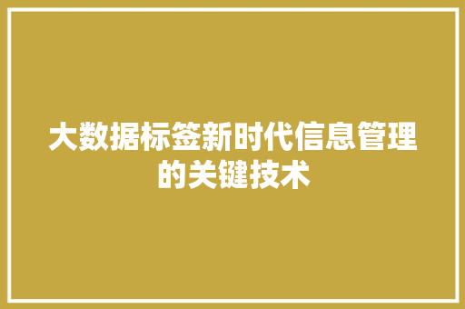 大数据标签新时代信息管理的关键技术 大数据标签新时代信息管理的关键技术