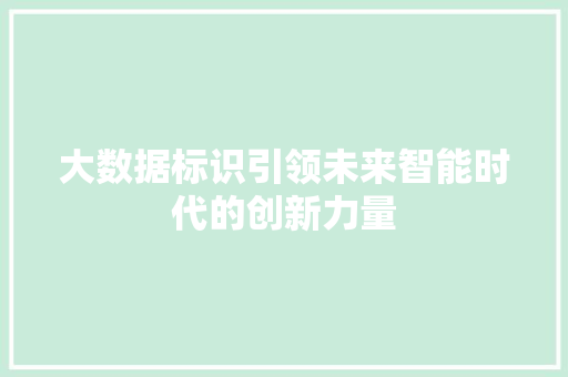 大数据标识引领未来智能时代的创新力量