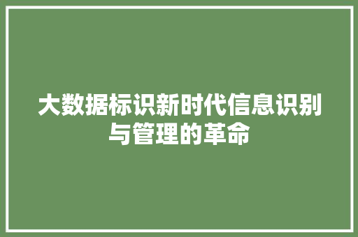 大数据标识新时代信息识别与管理的革命