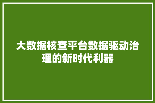 大数据核查平台数据驱动治理的新时代利器