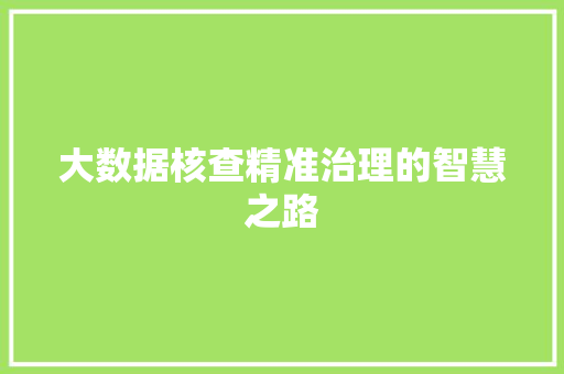 大数据核查精准治理的智慧之路