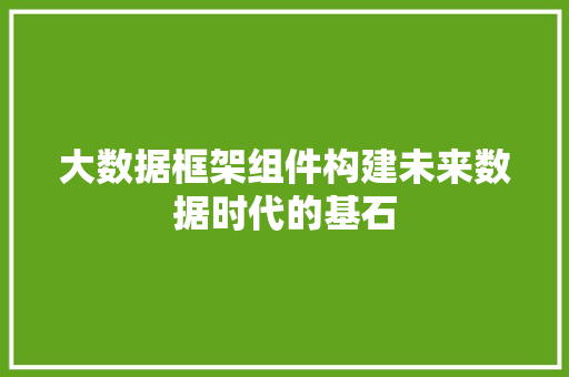 大数据框架组件构建未来数据时代的基石 大数据框架组件构建未来数据时代的基石