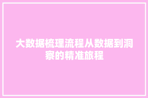 大数据梳理流程从数据到洞察的精准旅程