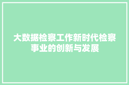 大数据检察工作新时代检察事业的创新与发展