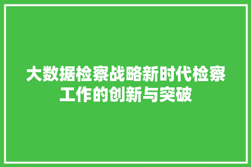 大数据检察战略新时代检察工作的创新与突破