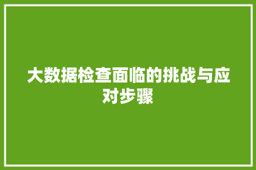 大数据检查面临的挑战与应对步骤