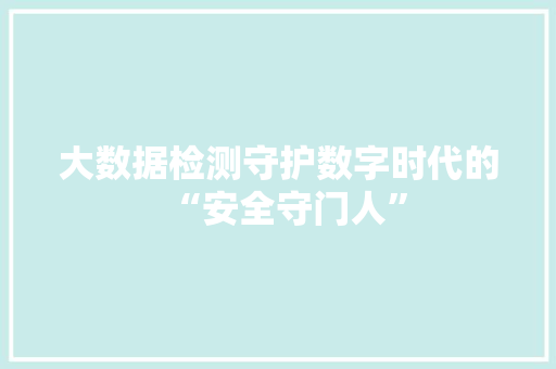 大数据检测守护数字时代的“安全守门人”