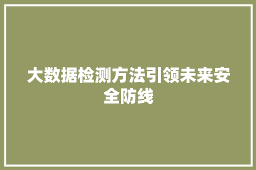 大数据检测方法引领未来安全防线
