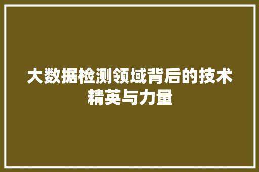 大数据检测领域背后的技术精英与力量