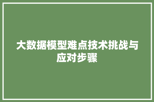 大数据模型难点技术挑战与应对步骤