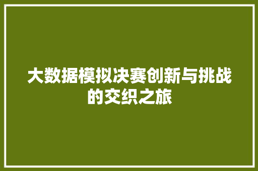 大数据模拟决赛创新与挑战的交织之旅