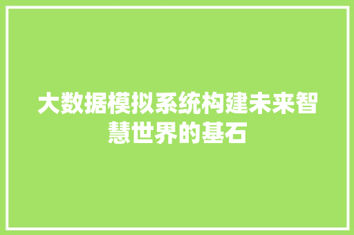 大数据模拟系统构建未来智慧世界的基石
