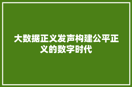 大数据正义发声构建公平正义的数字时代
