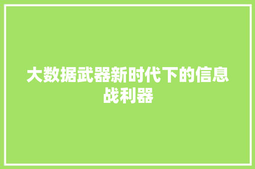 大数据武器新时代下的信息战利器