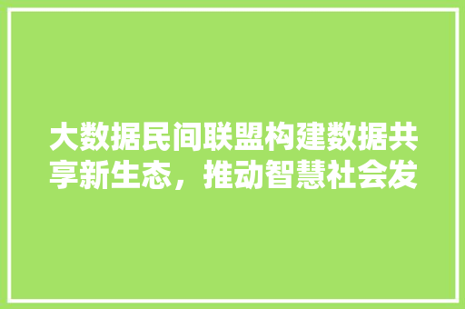 大数据民间联盟构建数据共享新生态，推动智慧社会发展 网络技术