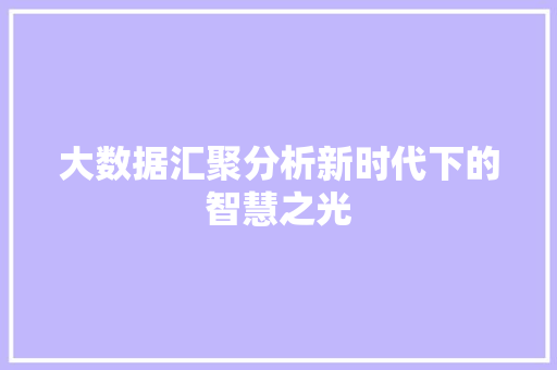 大数据汇聚分析新时代下的智慧之光