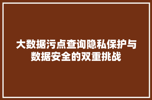 大数据污点查询隐私保护与数据安全的双重挑战