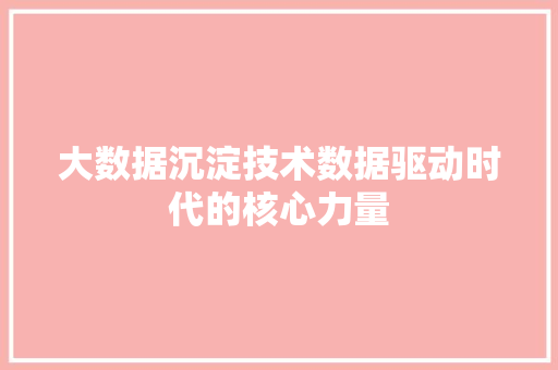 大数据沉淀技术数据驱动时代的核心力量