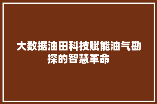 大数据油田科技赋能油气勘探的智慧革命