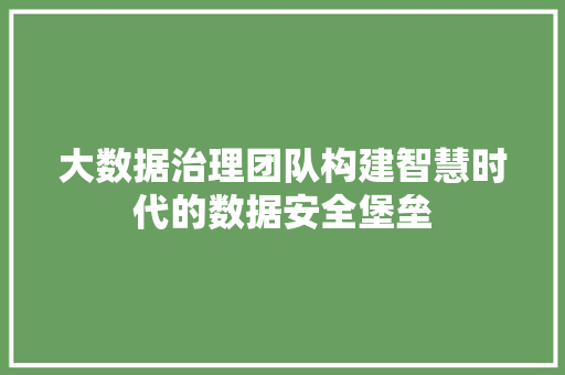 大数据治理团队构建智慧时代的数据安全堡垒 电脑基础