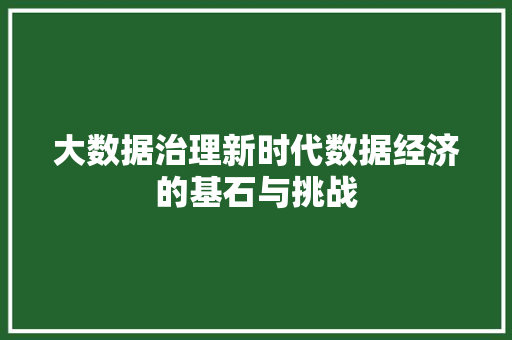 大数据治理新时代数据经济的基石与挑战