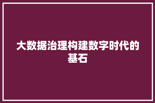 大数据治理构建数字时代的基石 大数据治理构建数字时代的基石