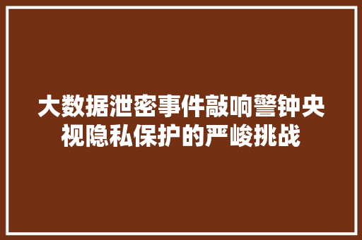 大数据泄密事件敲响警钟央视隐私保护的严峻挑战 大数据泄密事件敲响警钟央视隐私保护的严峻挑战