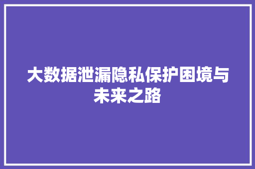 大数据泄漏隐私保护困境与未来之路