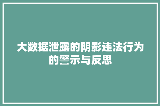 大数据泄露的阴影违法行为的警示与反思 大数据泄露的阴影违法行为的警示与反思