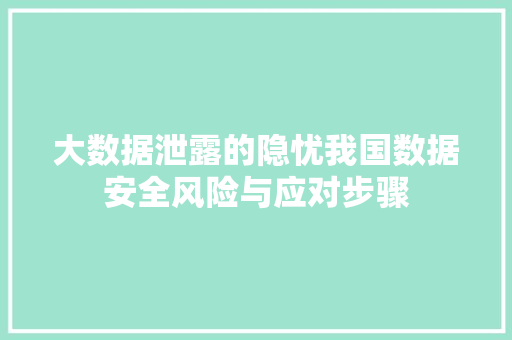 大数据泄露的隐忧我国数据安全风险与应对步骤