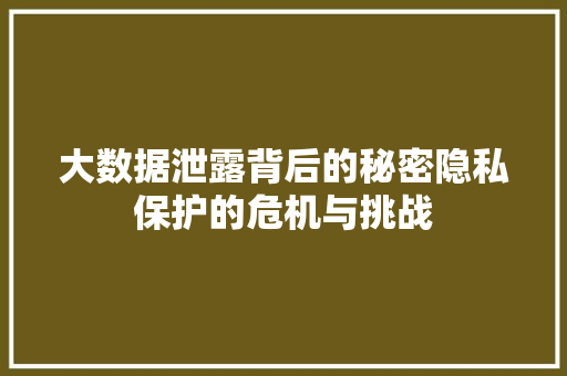 大数据泄露背后的秘密隐私保护的危机与挑战