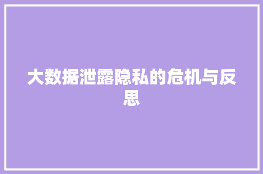大数据泄露隐私的危机与反思