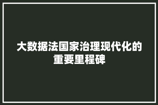 大数据法国家治理现代化的重要里程碑