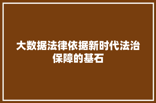 大数据法律依据新时代法治保障的基石 大数据法律依据新时代法治保障的基石