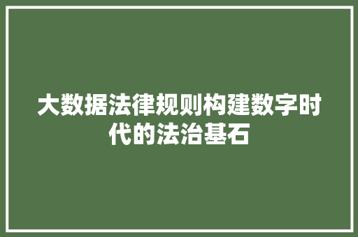 大数据法律规则构建数字时代的法治基石 大数据法律规则构建数字时代的法治基石