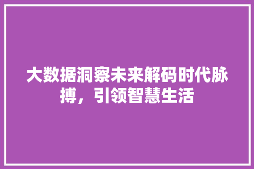 大数据洞察未来解码时代脉搏，引领智慧生活