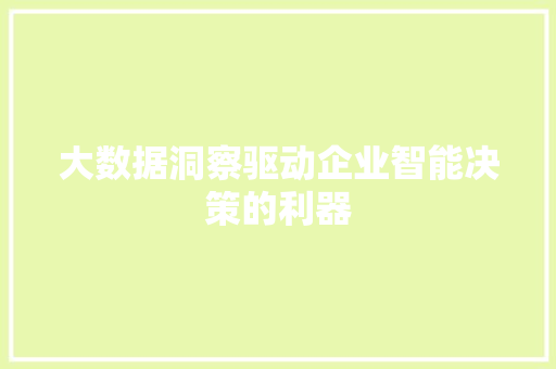 大数据洞察驱动企业智能决策的利器