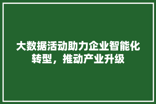 大数据活动助力企业智能化转型，推动产业升级