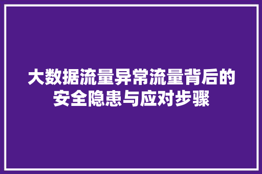 大数据流量异常流量背后的安全隐患与应对步骤
