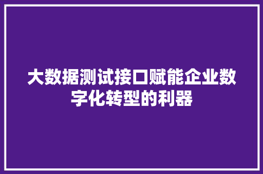 大数据测试接口赋能企业数字化转型的利器