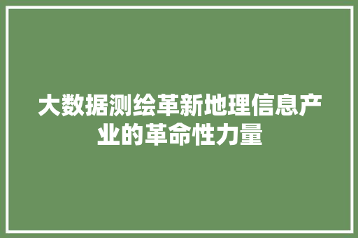 大数据测绘革新地理信息产业的革命性力量