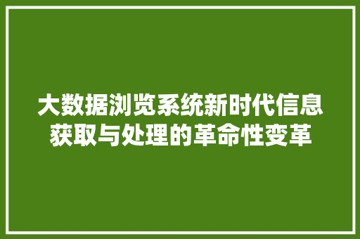 大数据浏览系统新时代信息获取与处理的革命性变革