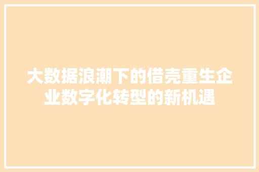 大数据浪潮下的借壳重生企业数字化转型的新机遇 大数据浪潮下的借壳重生企业数字化转型的新机遇