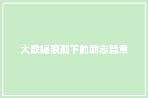 大数据浪潮下的励志篇章