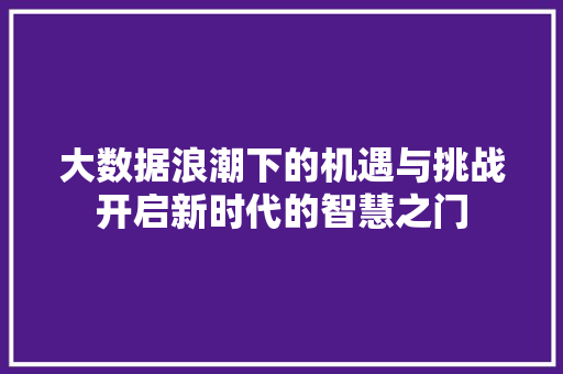 大数据浪潮下的机遇与挑战开启新时代的智慧之门