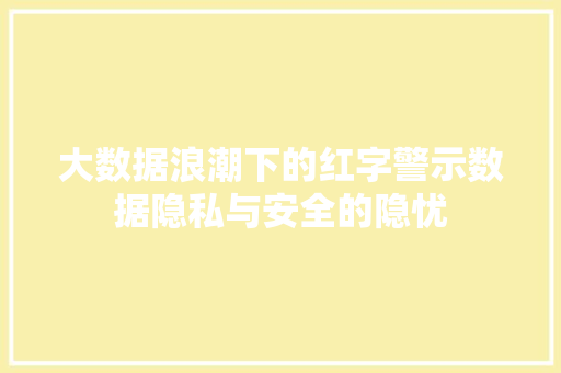 大数据浪潮下的红字警示数据隐私与安全的隐忧