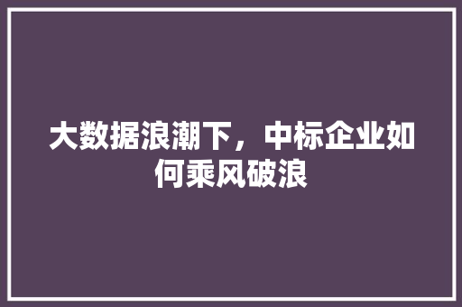 大数据浪潮下，中标企业如何乘风破浪